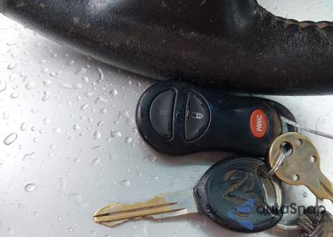 2002 Dodge Dakota Slt z USA, uszkodzony, nr VIN 1B7HG48N52S635003